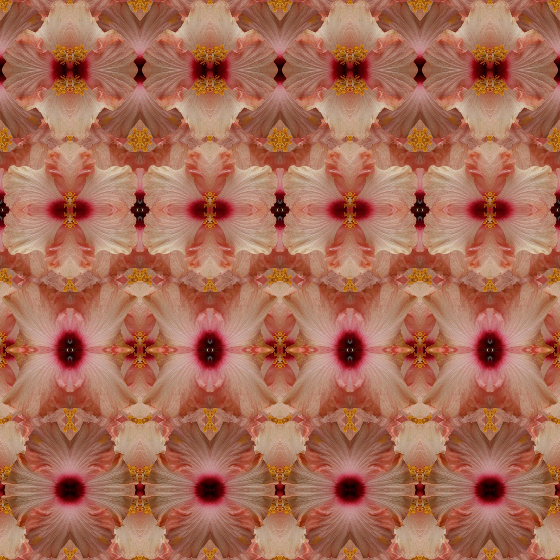 Abstract Pattern Hibiscus