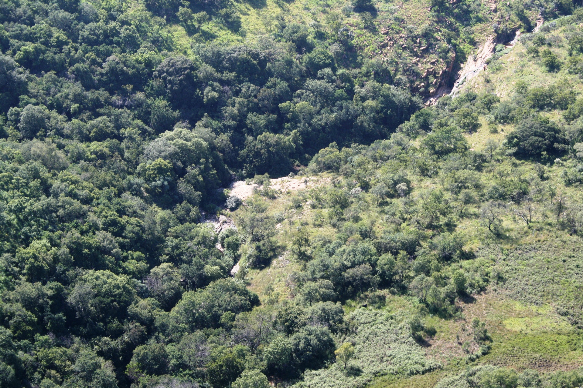 Aerial Of Vegetation On Slope