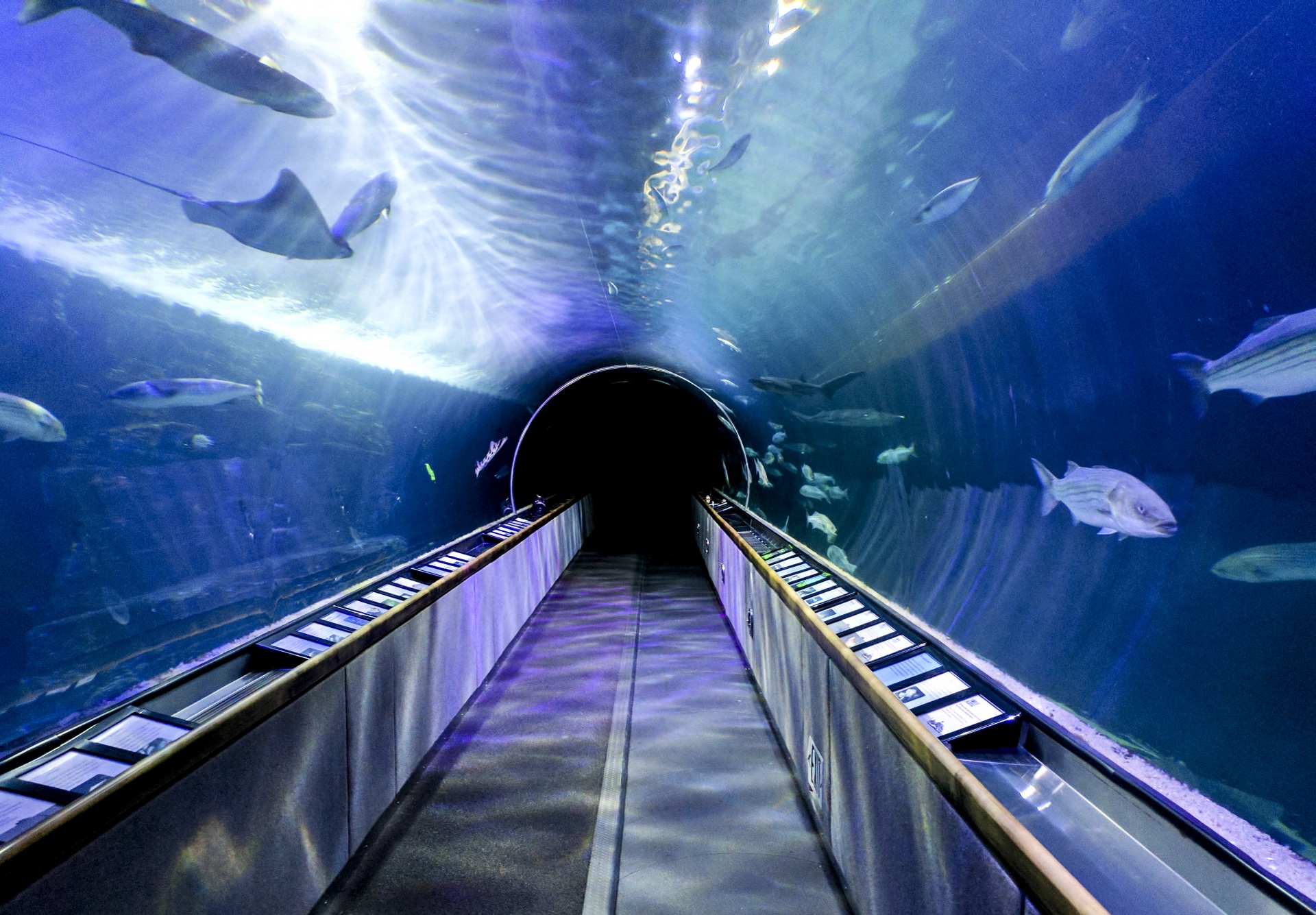 Akvarium Tunnel