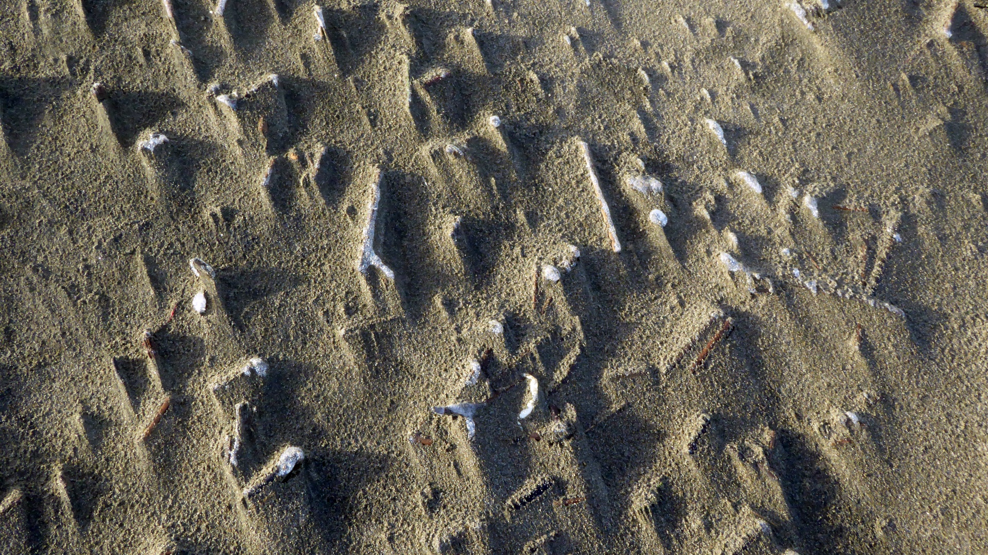 Beach modello di sabbia