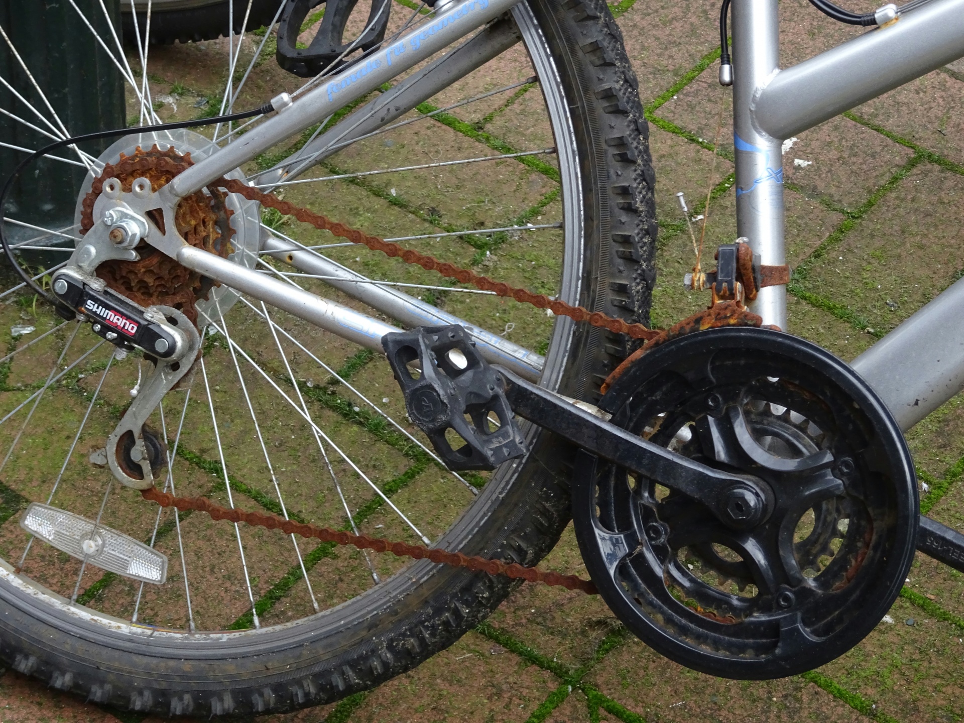 自行车车轮和齿轮