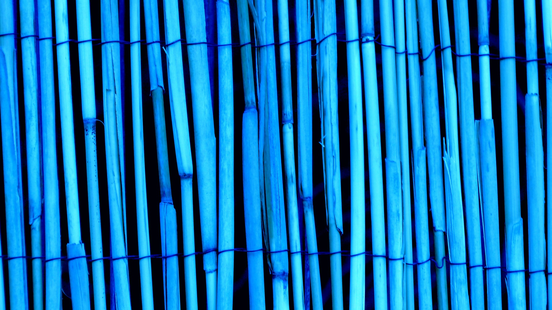 Sfondo blu di legno di bambù Texture