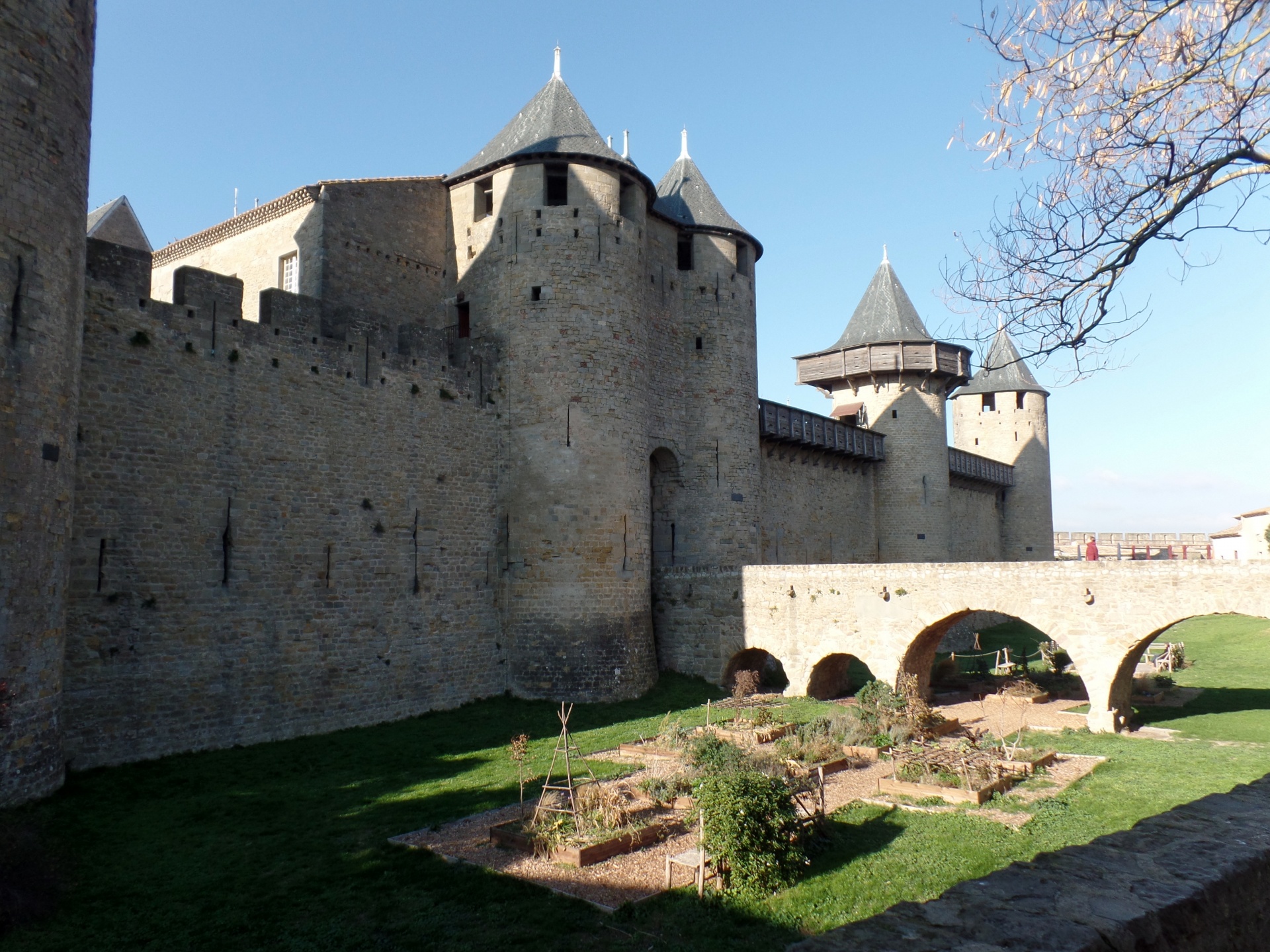 Carcassonne Merli