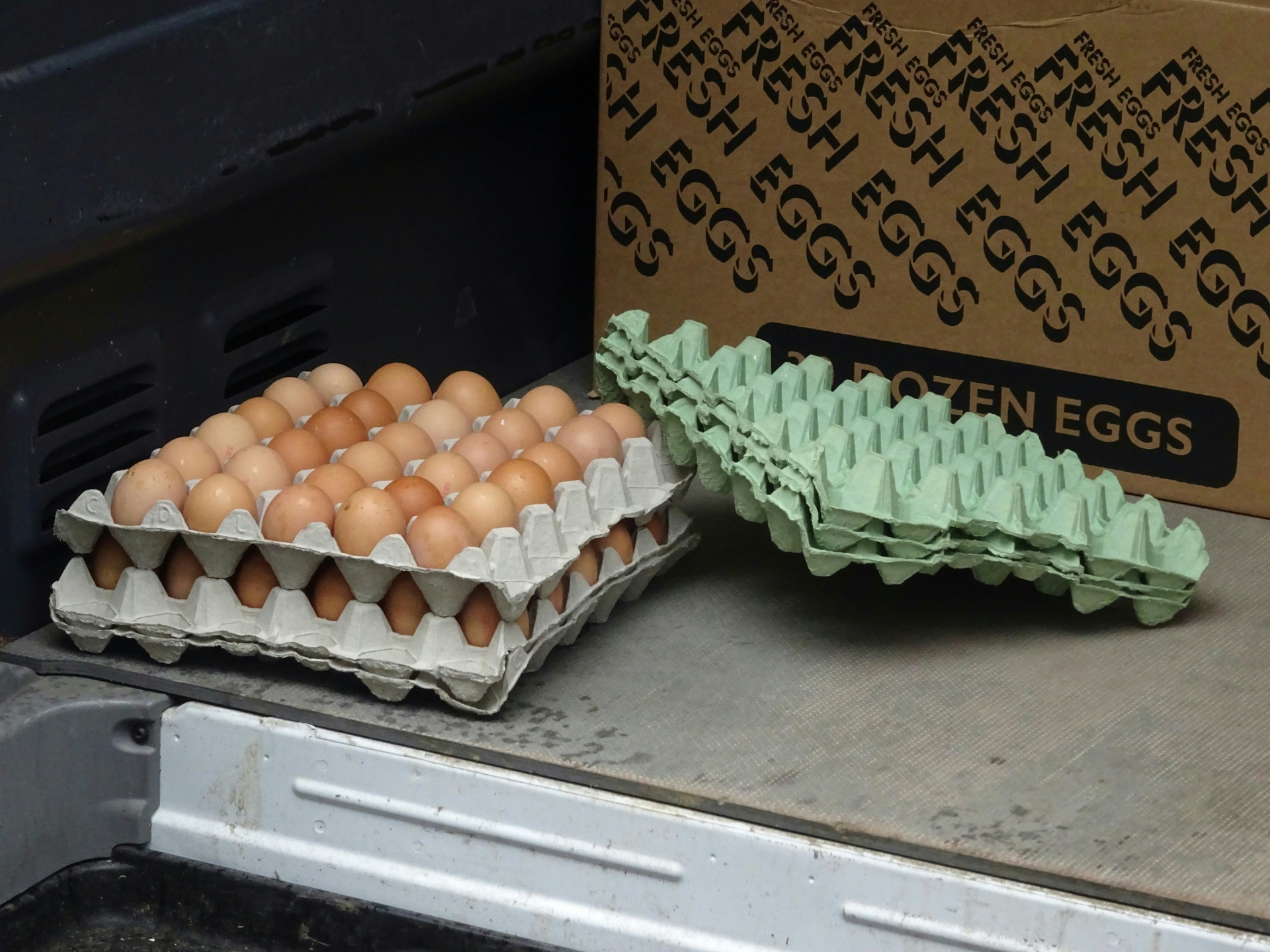 鸡蛋交付由Van