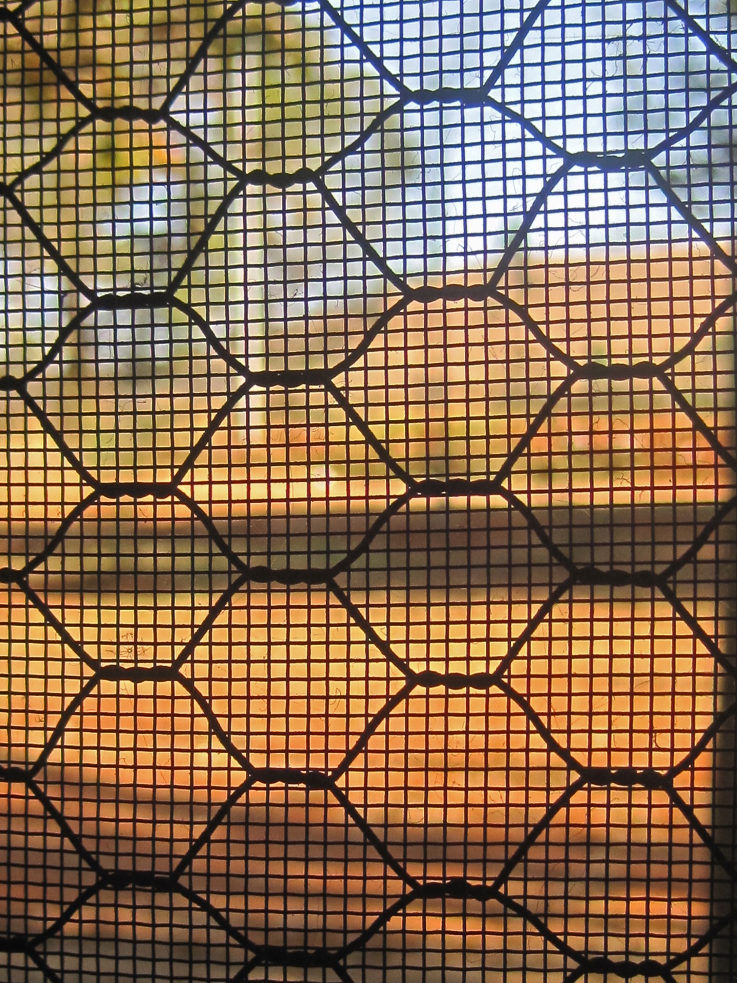 Fence And Grid