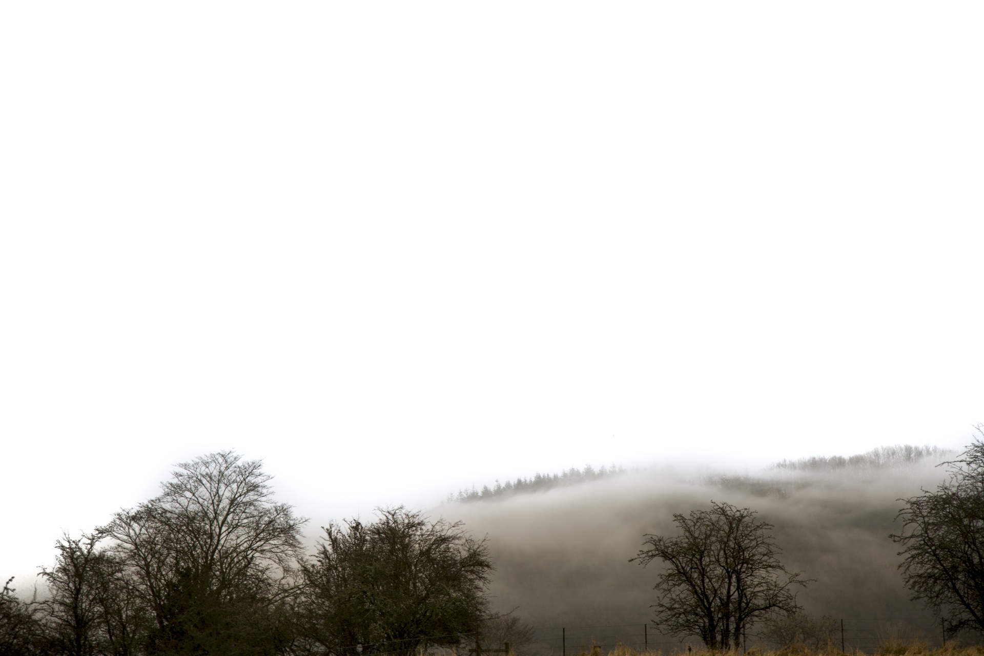 雾景观