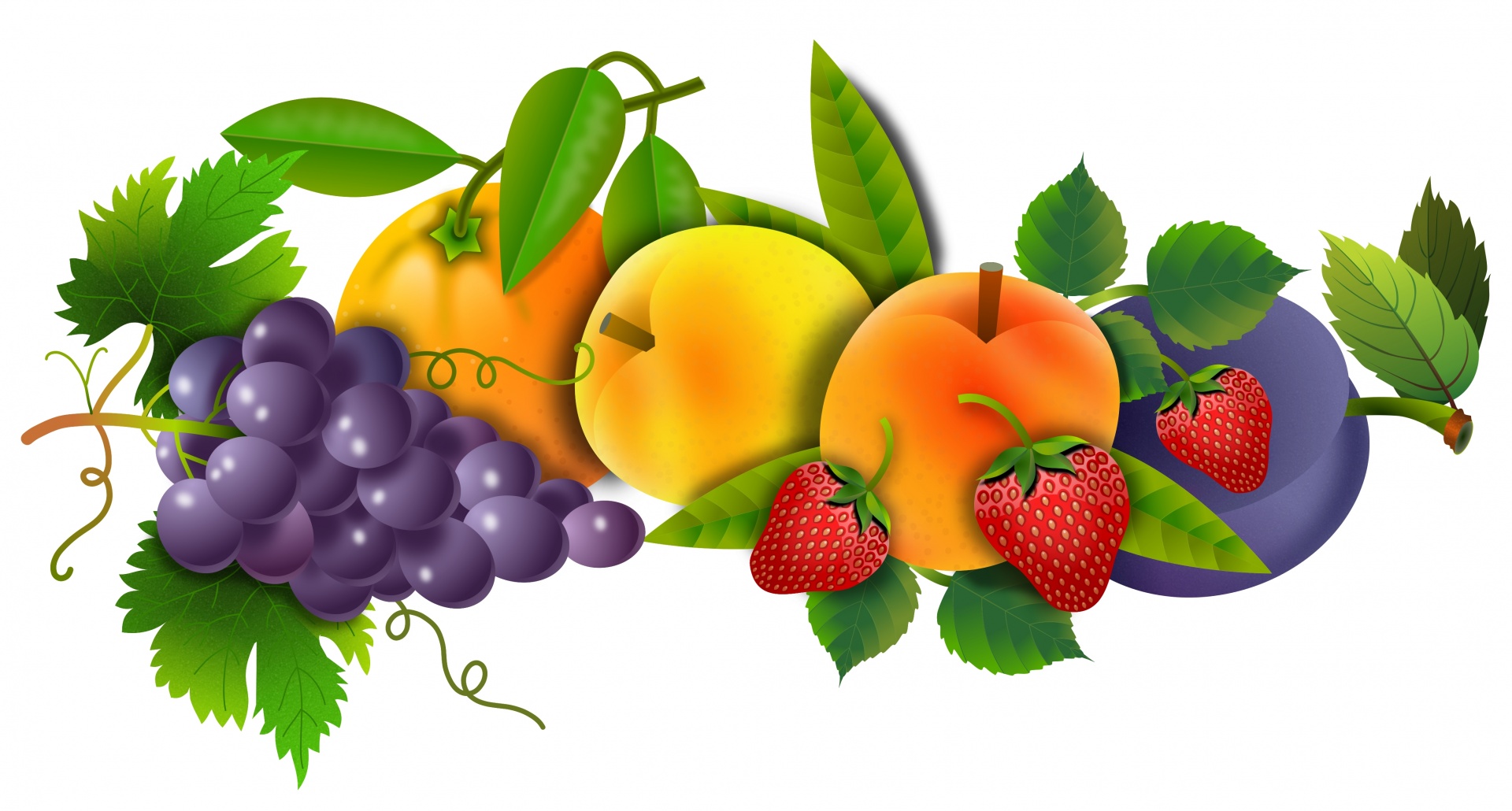 Fruta grupo