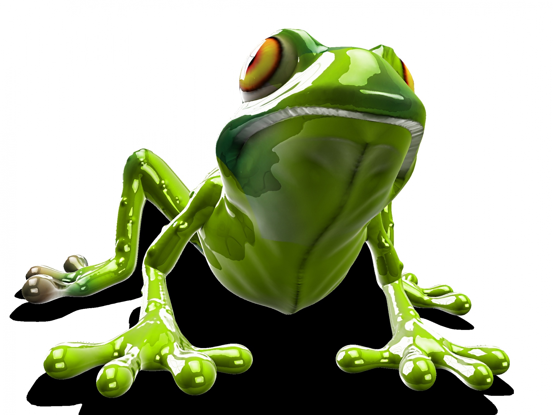 绿蛙
