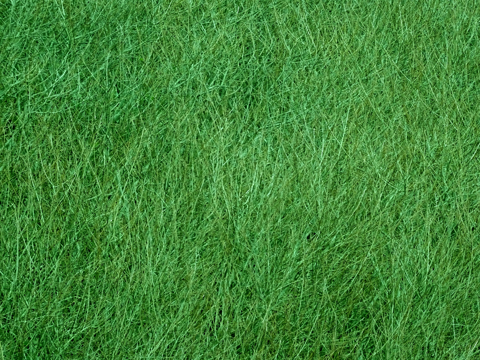 Verde Texture Background