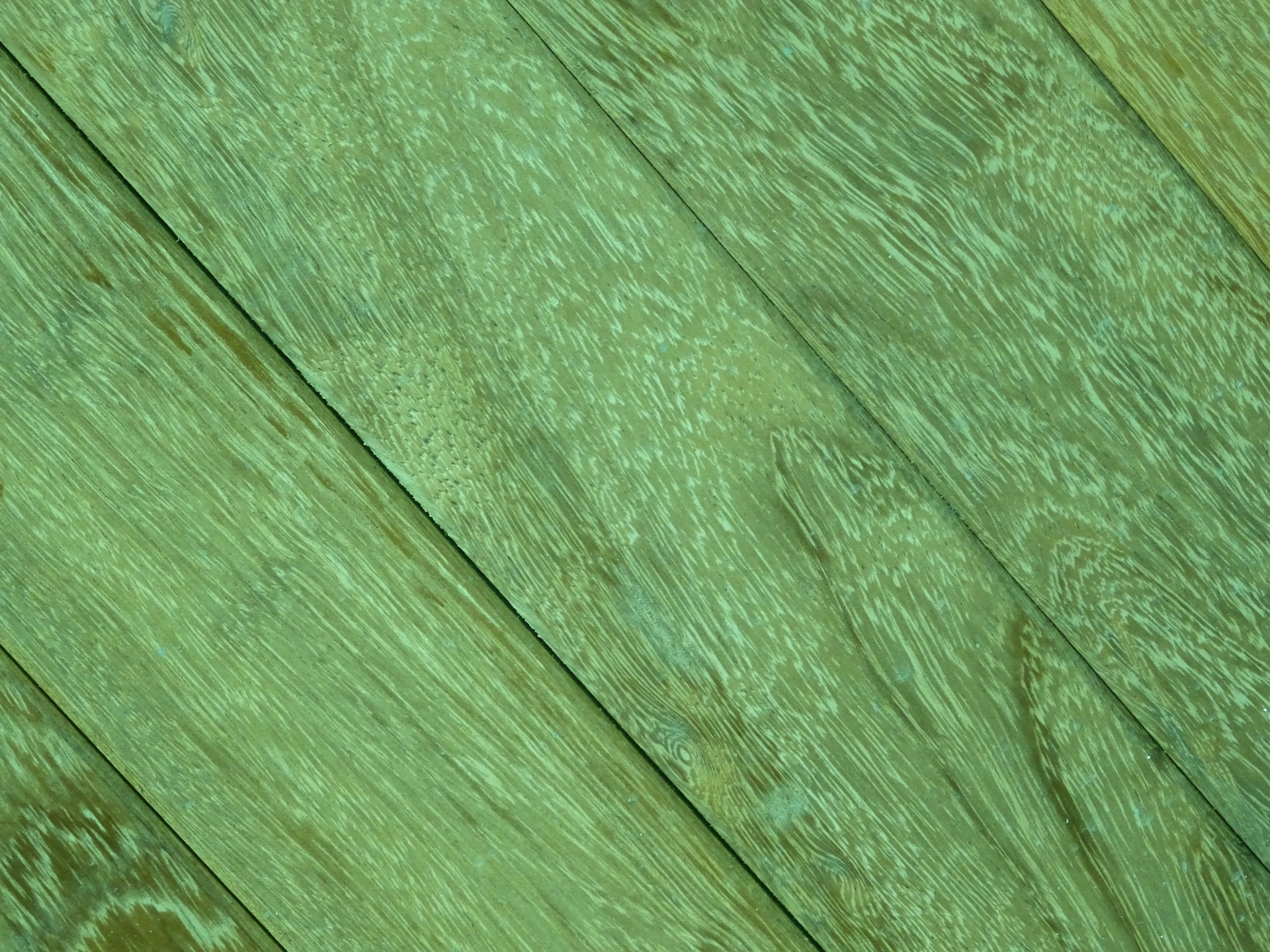 Sfondo verde Grana del legno