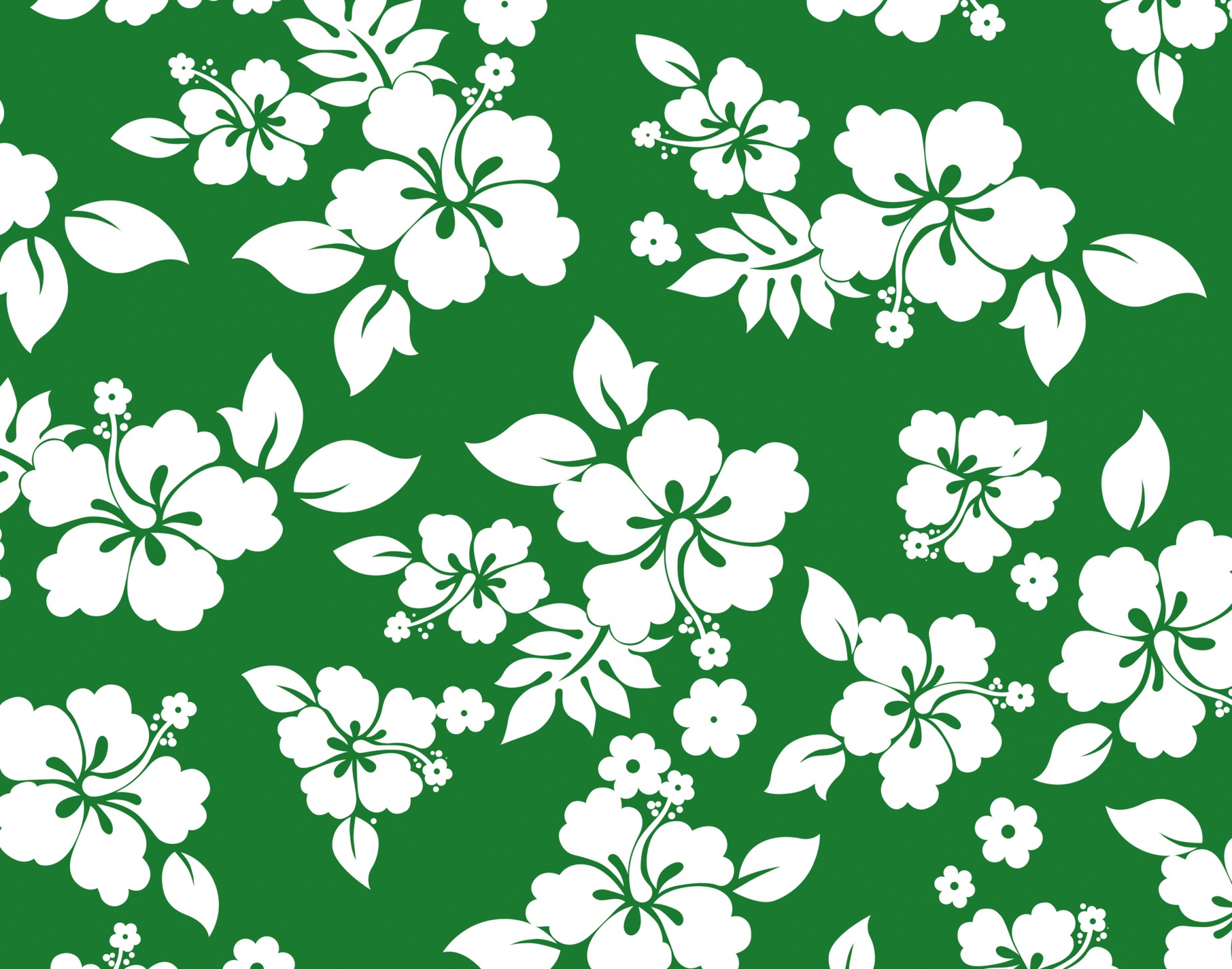 Hibiscus-Blumen-Hintergrund