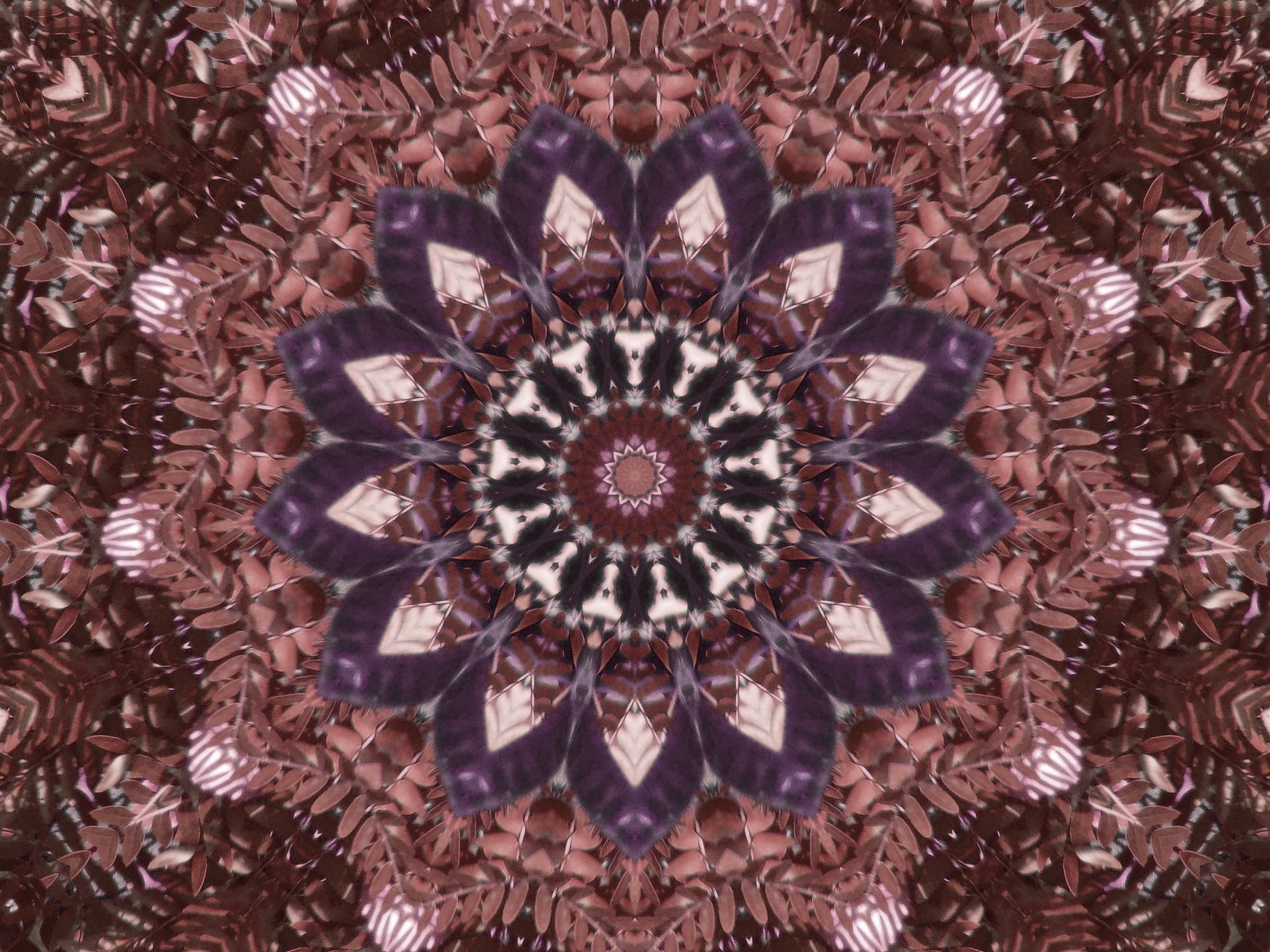 Kaleidoscope bakgrund från Ferns
