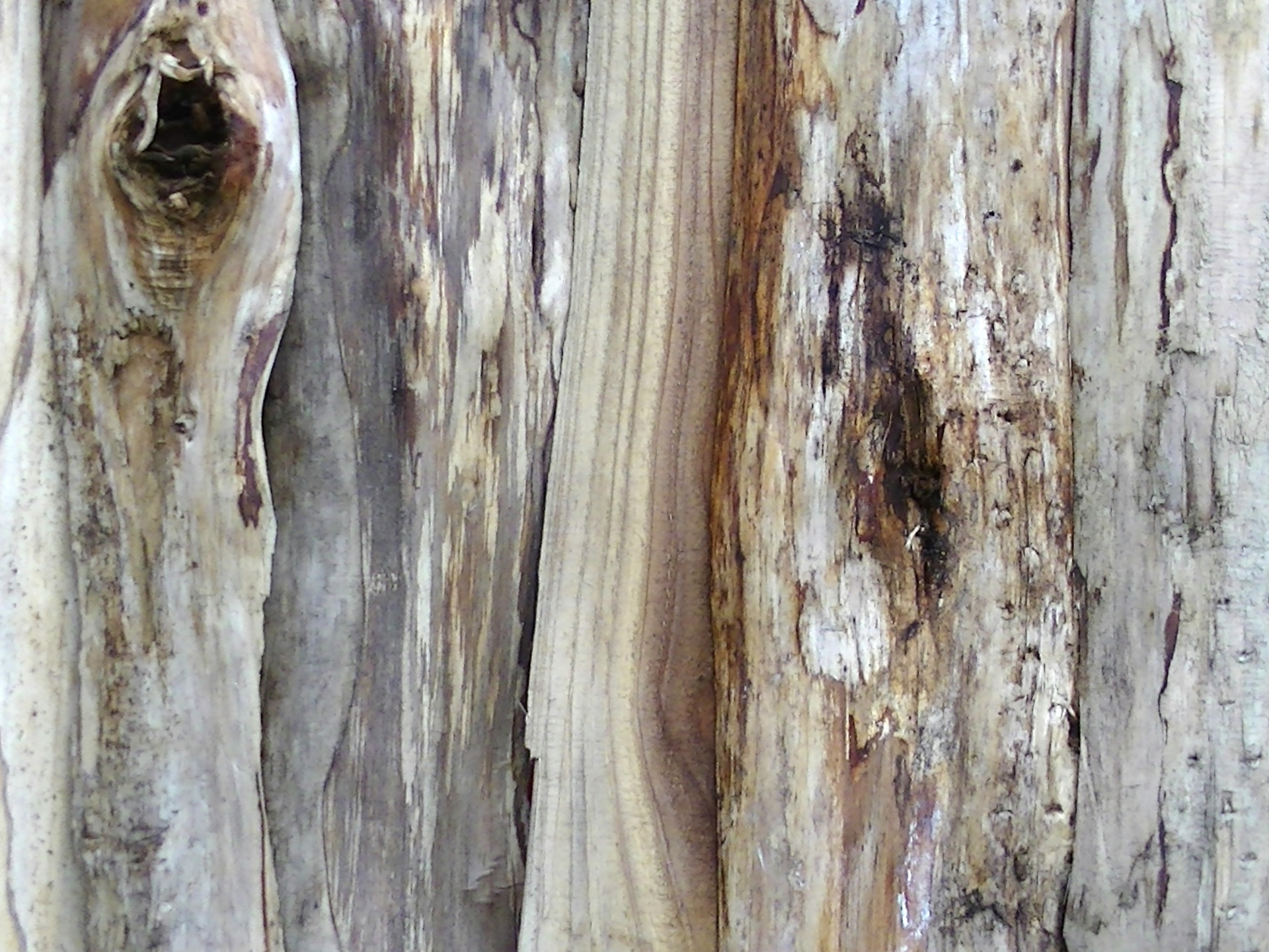 Log sfondo di legno