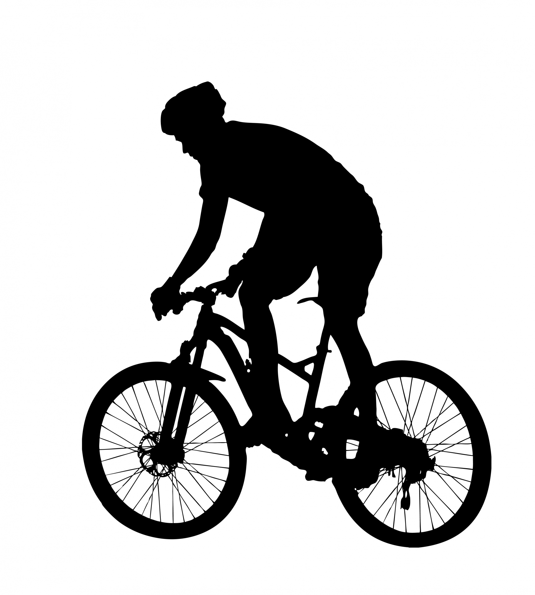 Mountain Bike Rider Silhouette