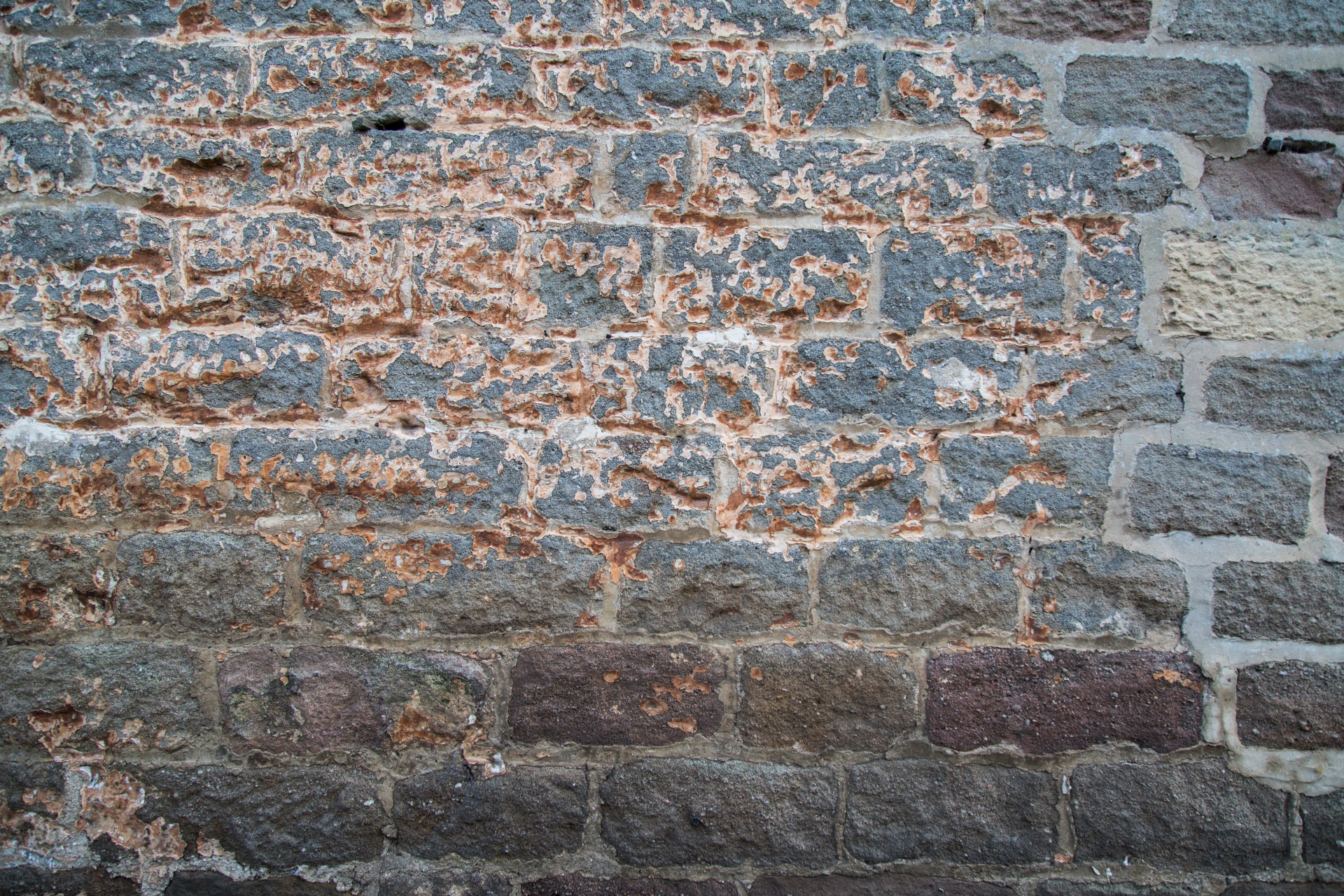 Vecchio muro