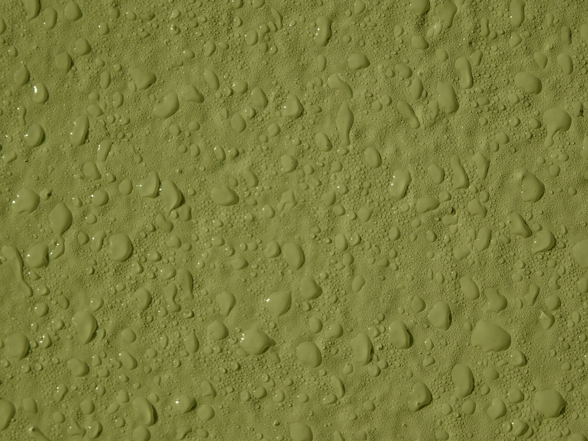 橄榄绿色水滴背景