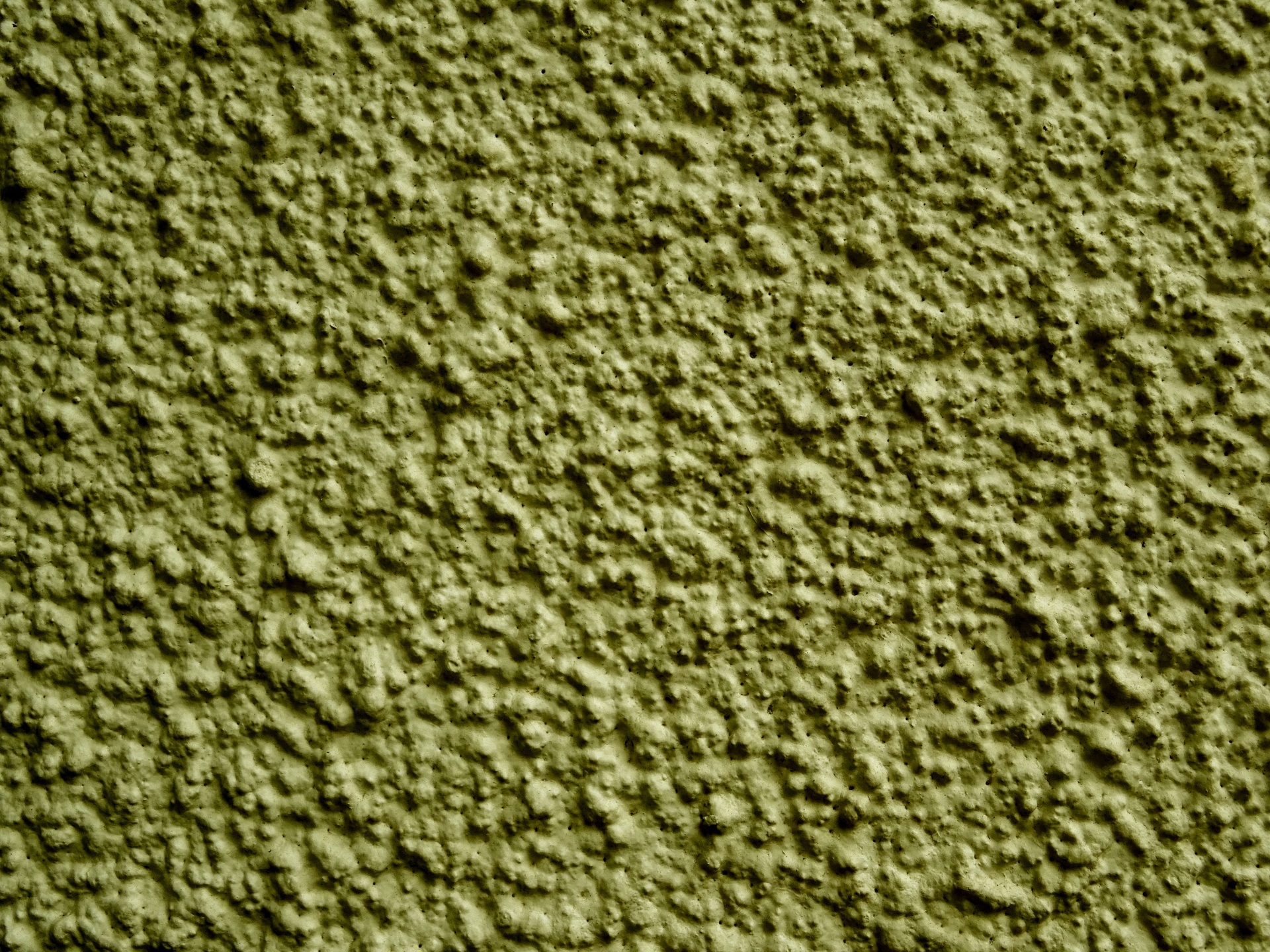 橄榄背景壁纸