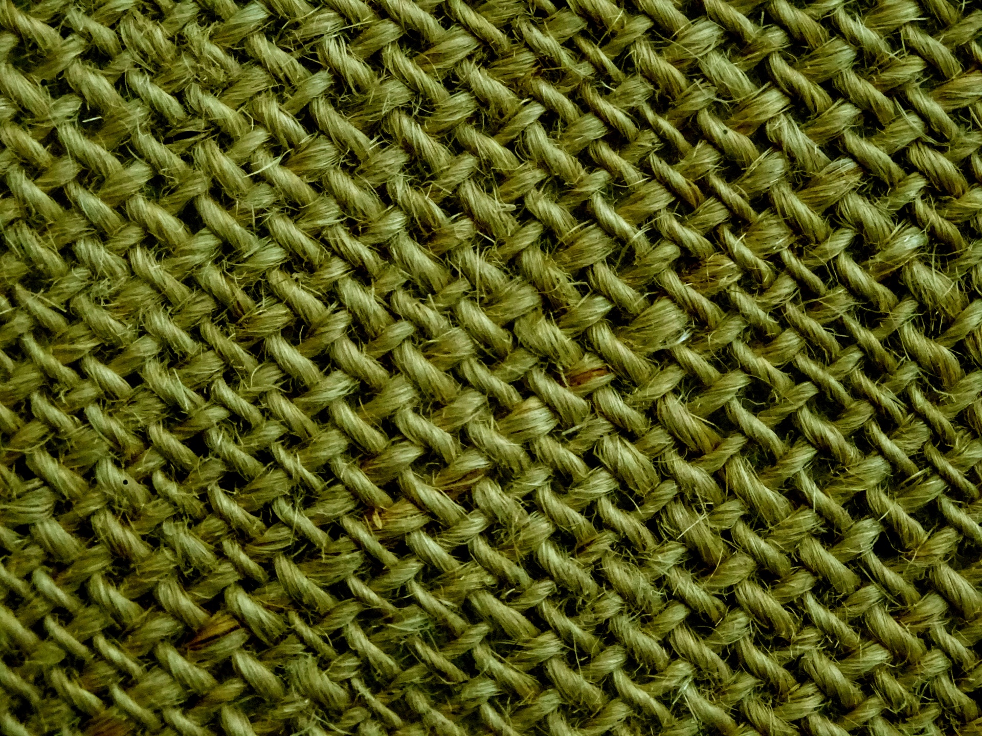 橄榄编织绳索背景