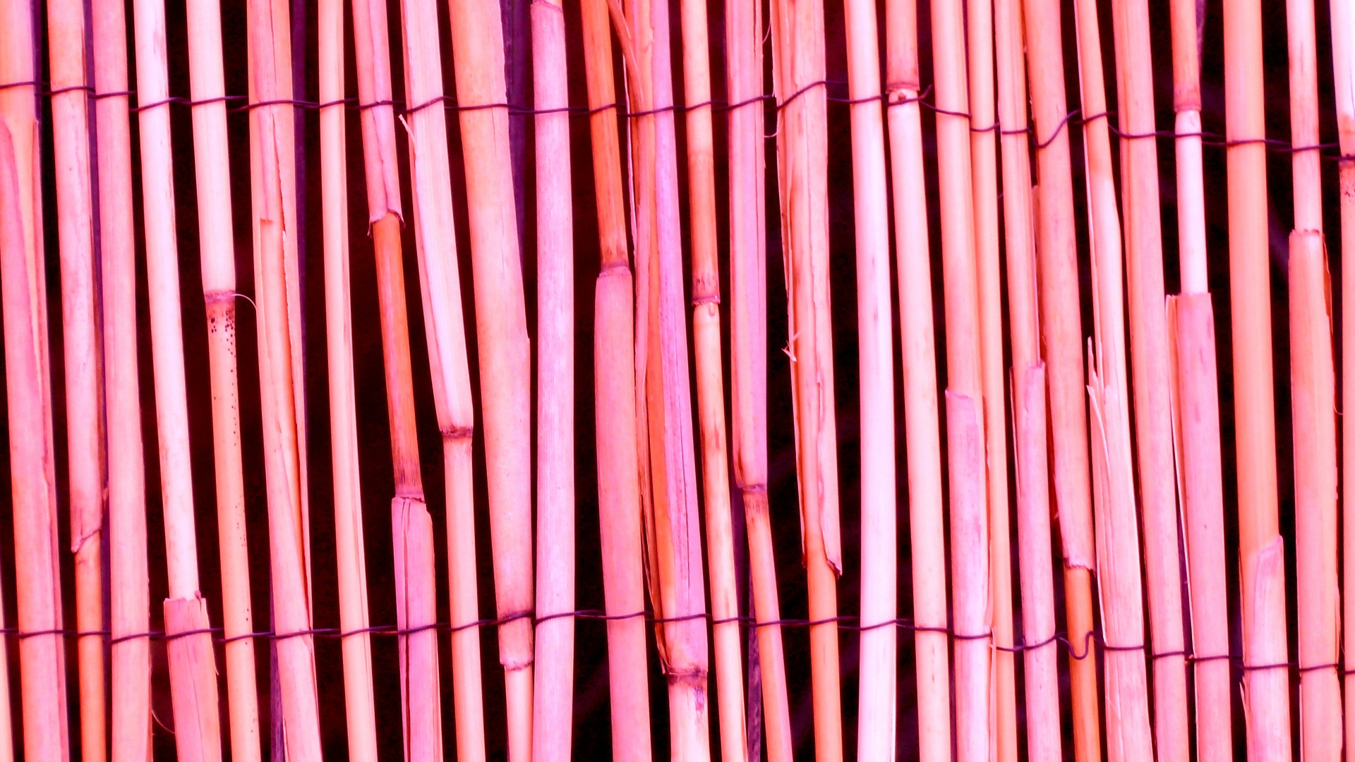 Sfondo rosa di legno di bambù Texture