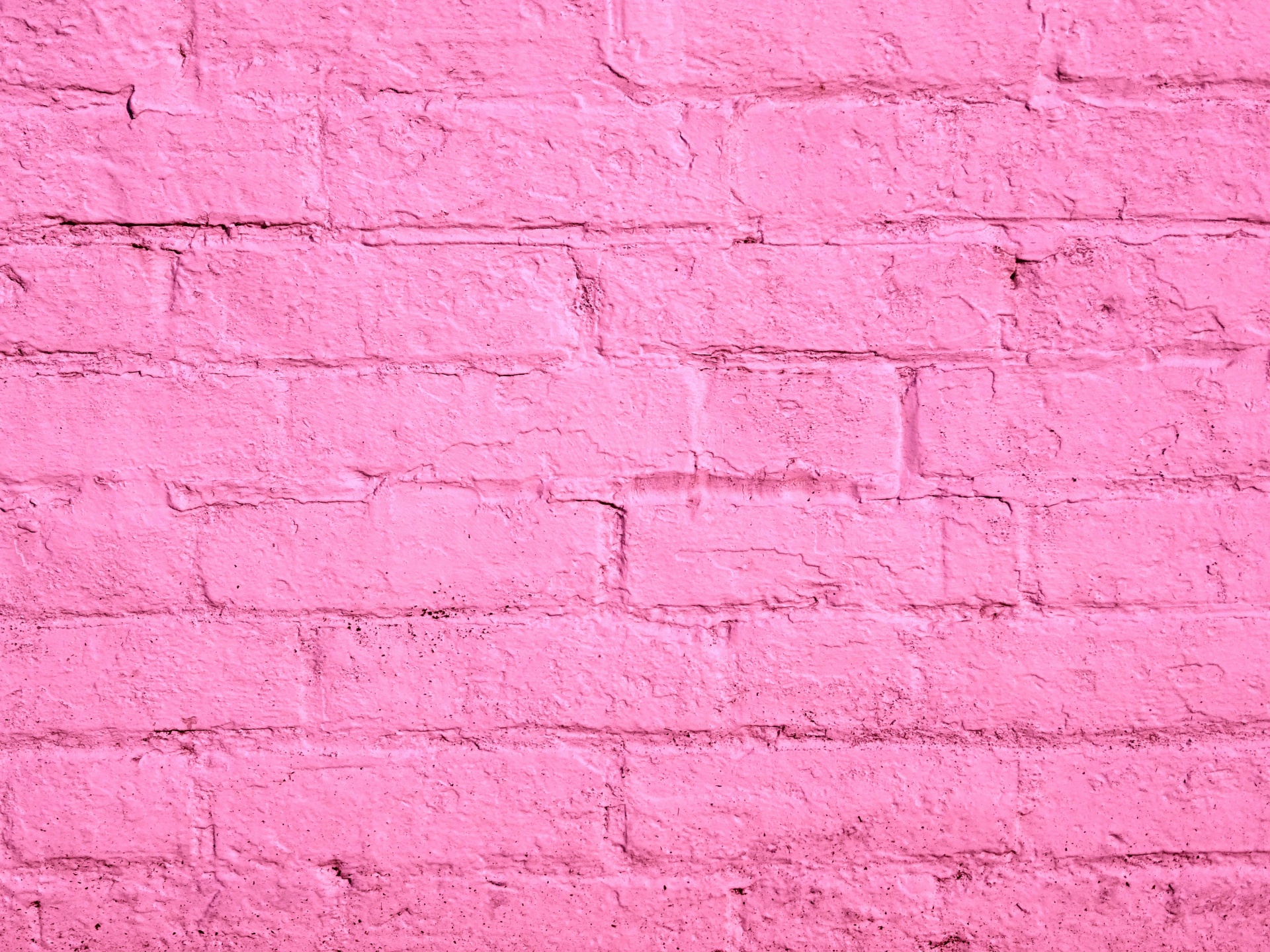 Rosa malte Backsteinmauer
