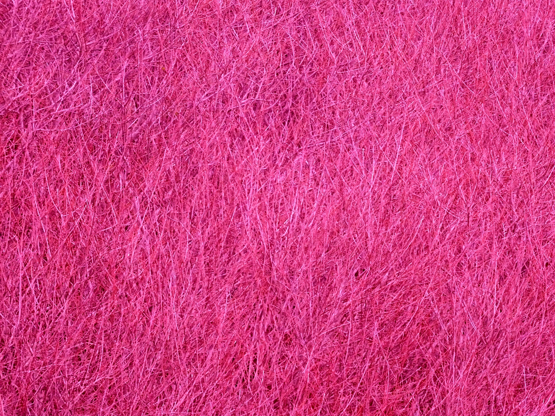 Rosa Texture Background