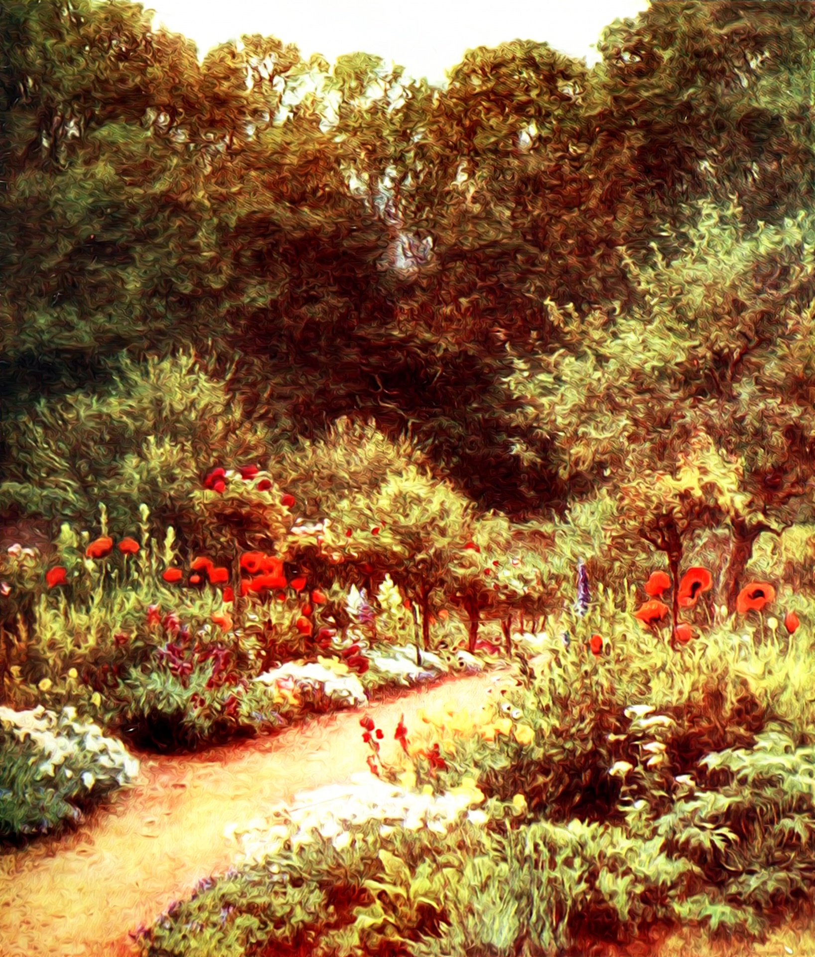 Poppy Garden