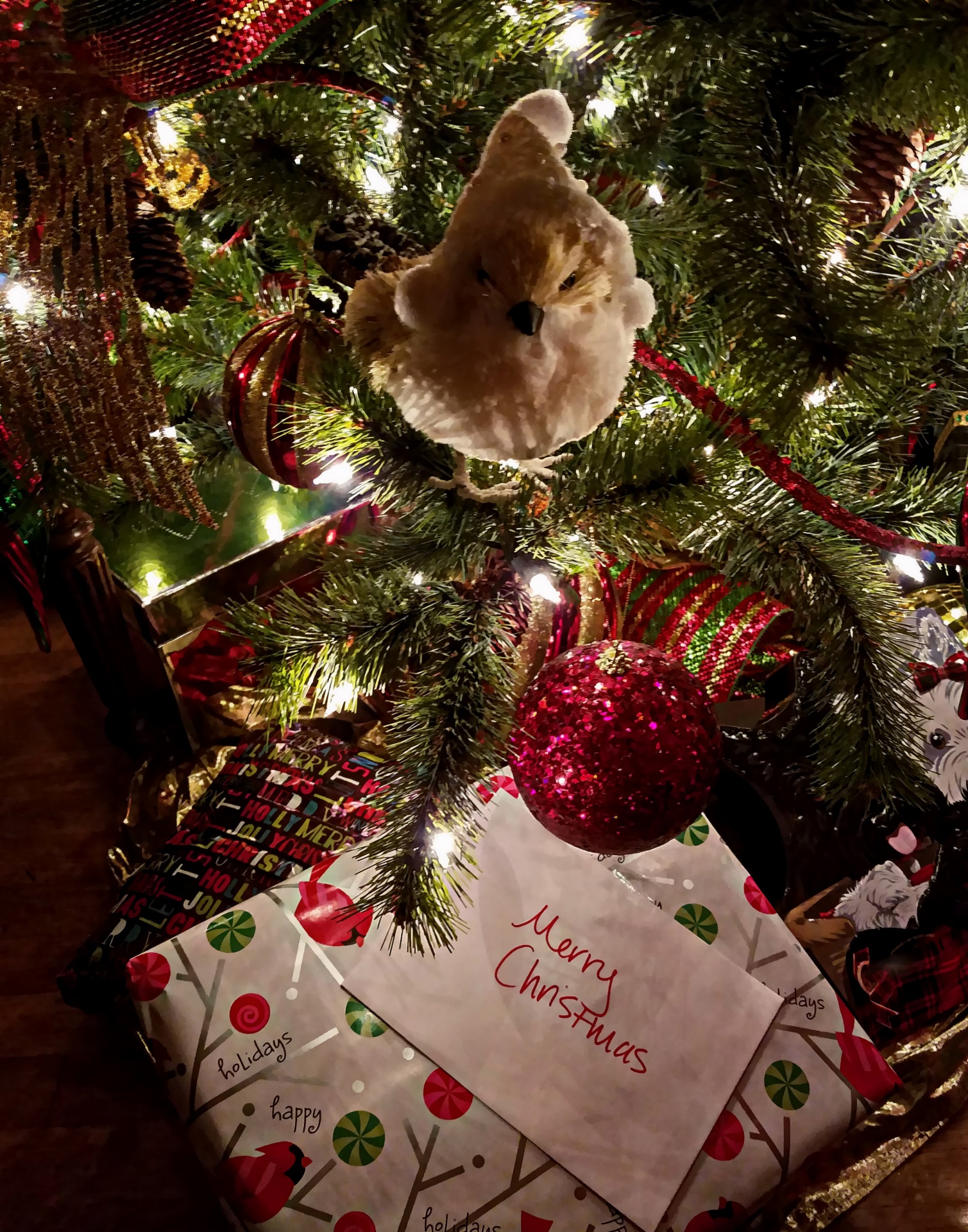 Presente sotto l'albero di Natale