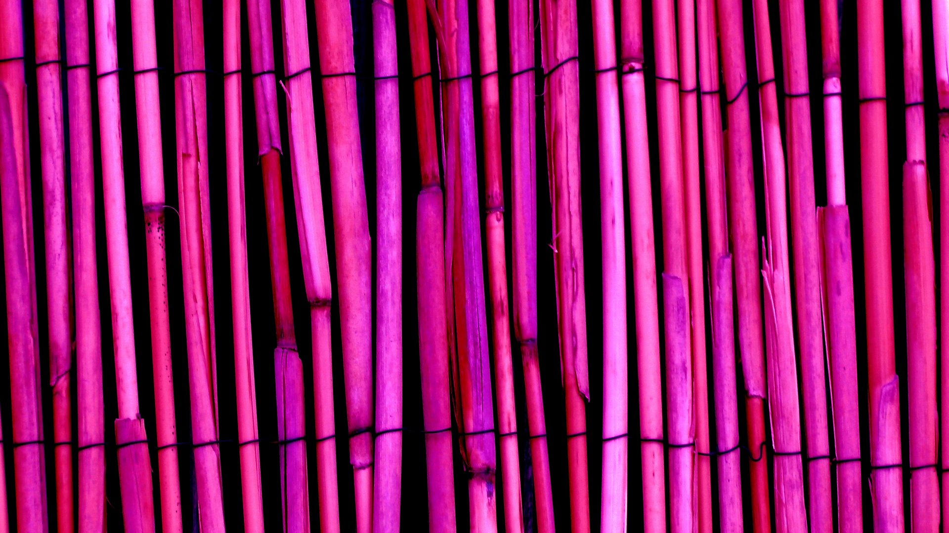 Fundo roxo de madeira de bambu