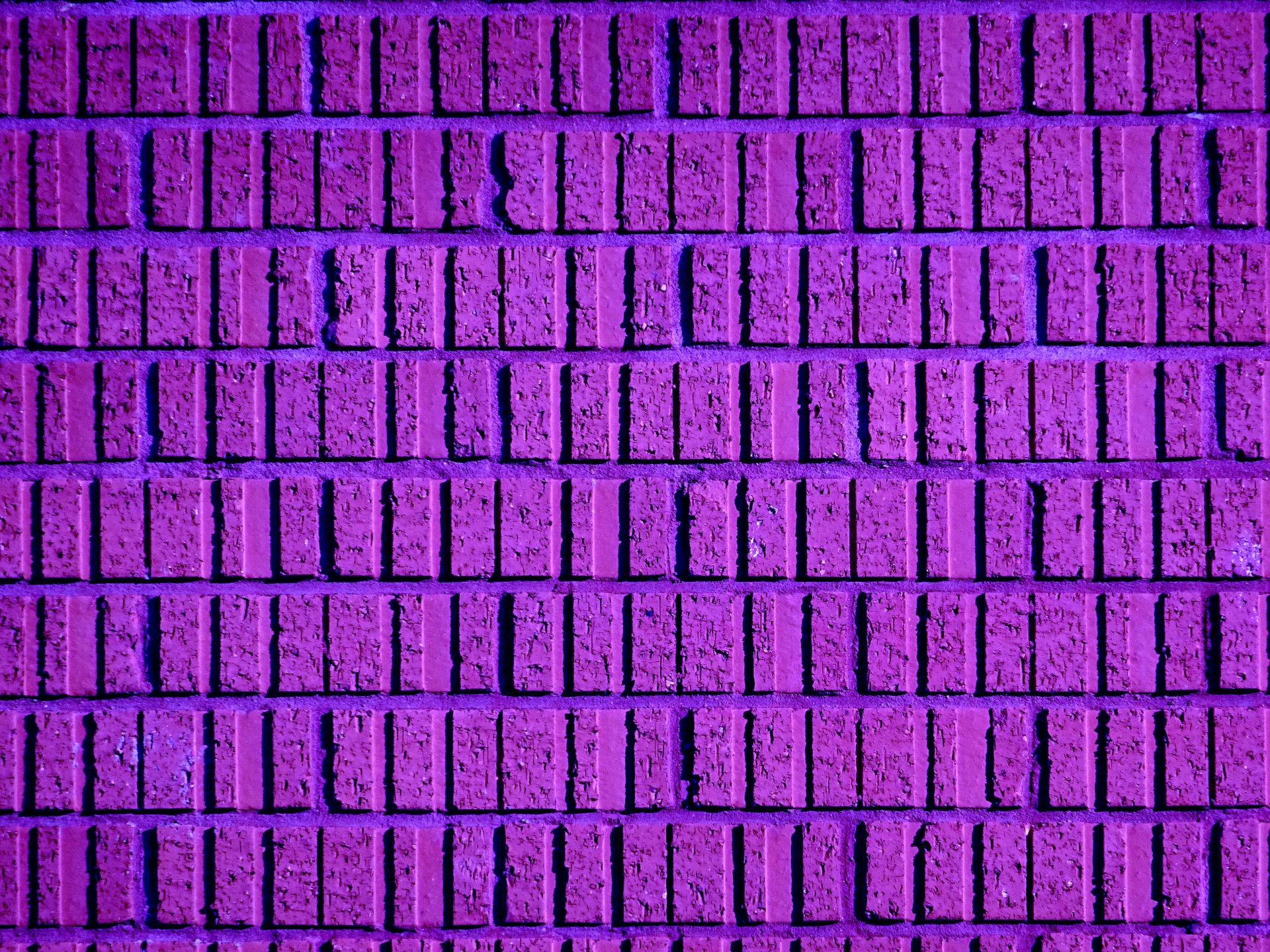 Sfondo viola muro di mattoni