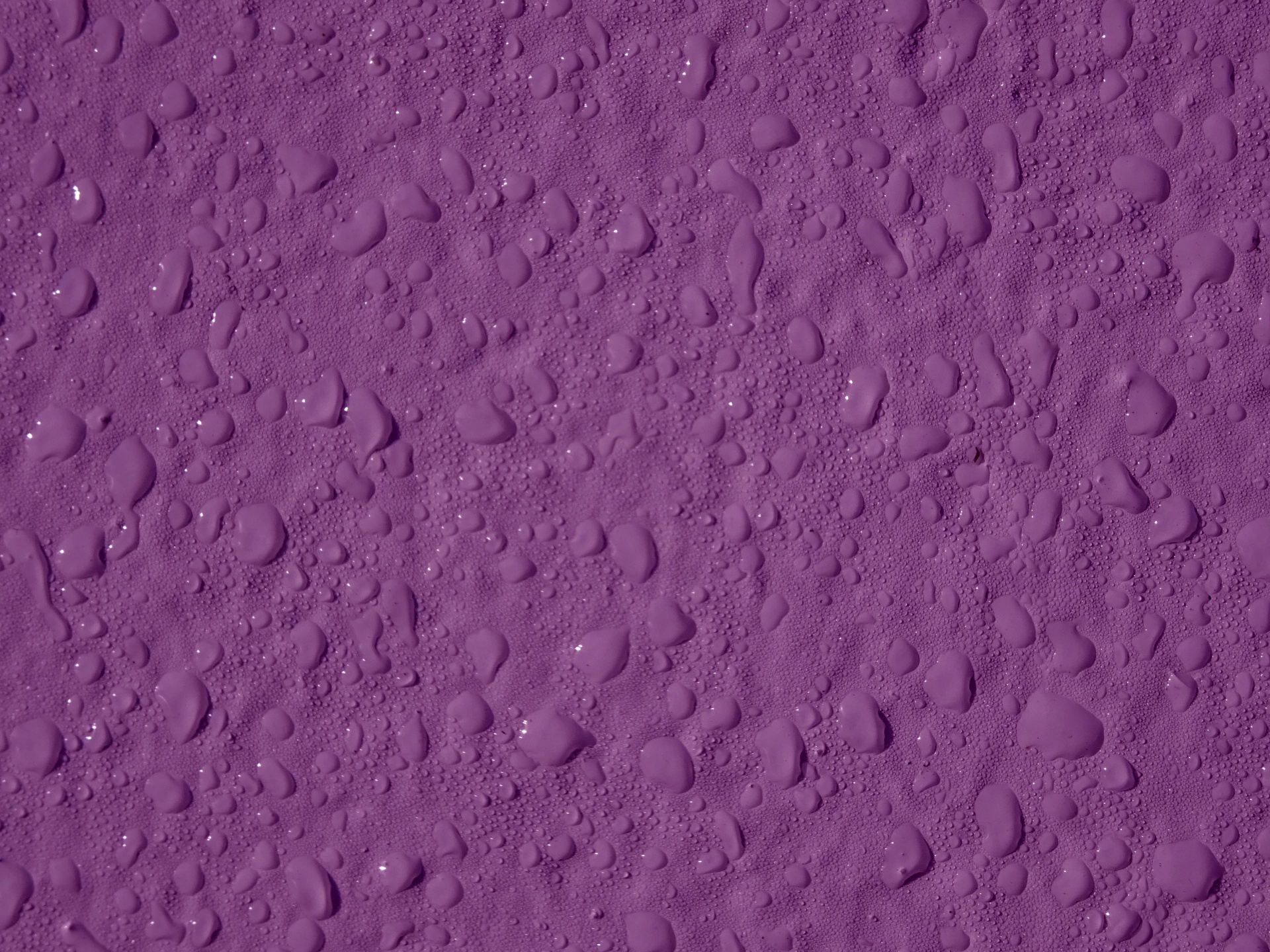 紫水滴背景