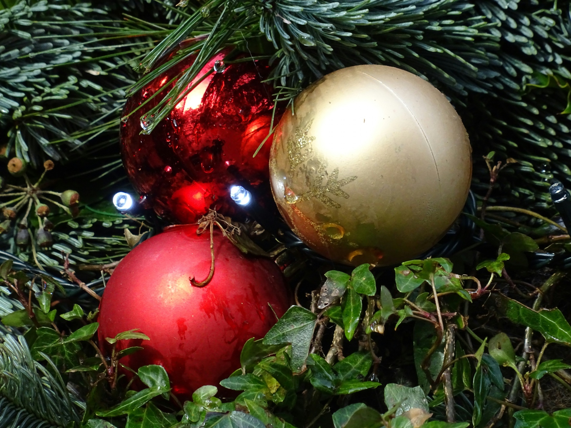 红色和金色的圣诞装饰品