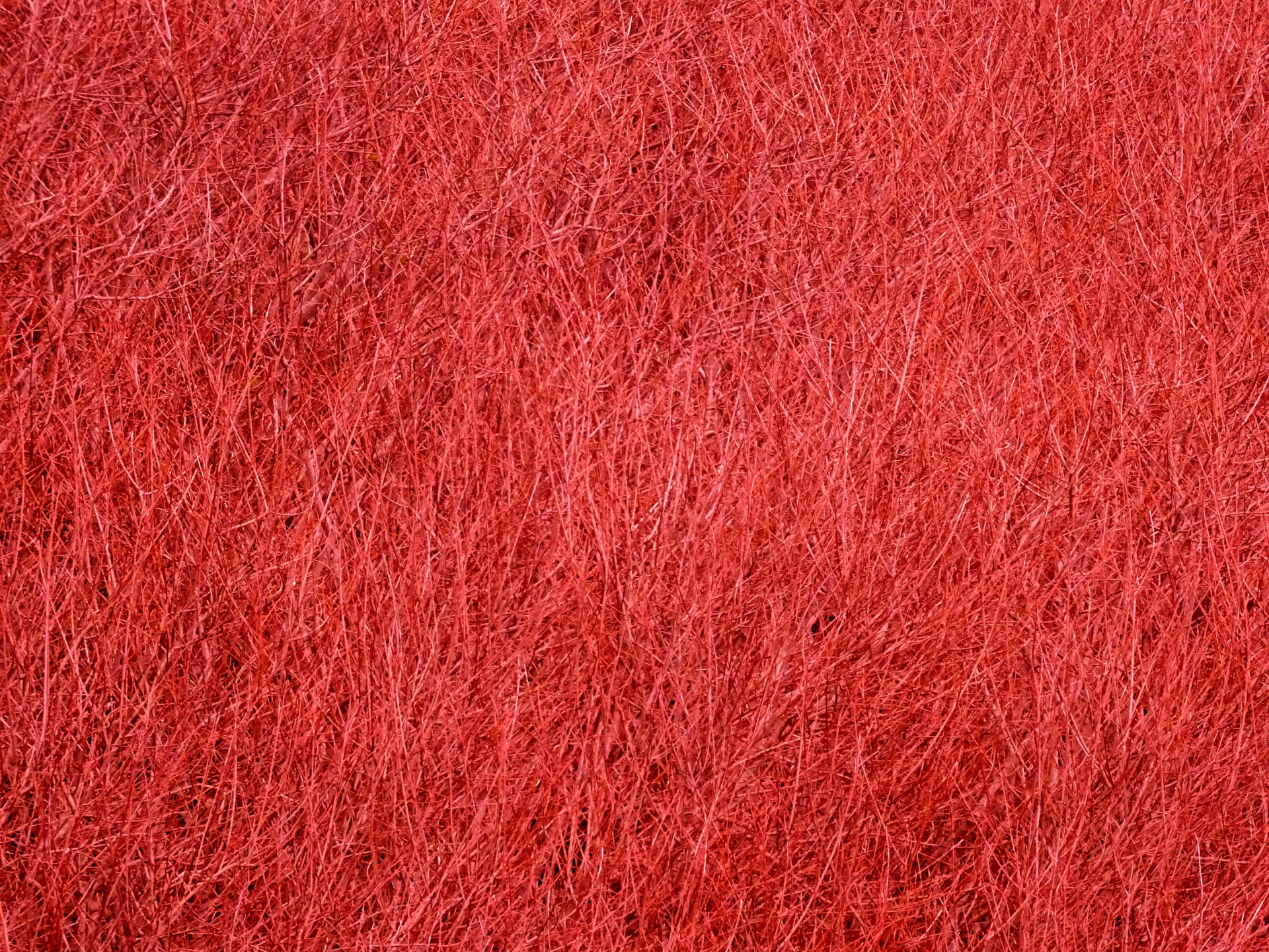 Fundo da textura vermelho