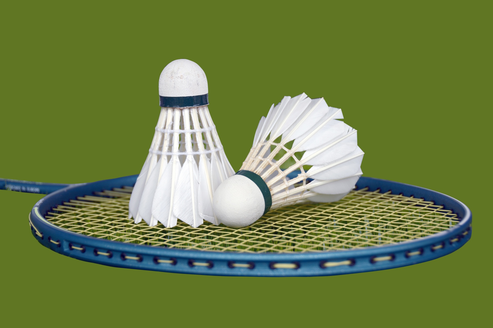 Volani e racchetta Badminton