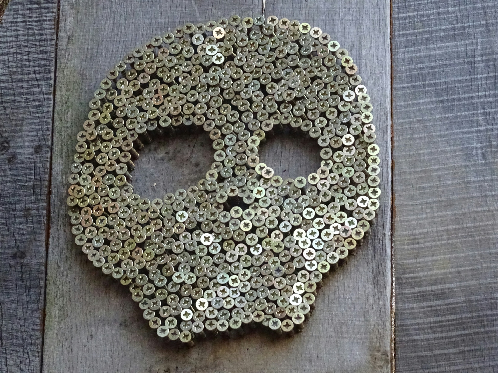 Skull Design Made con viti
