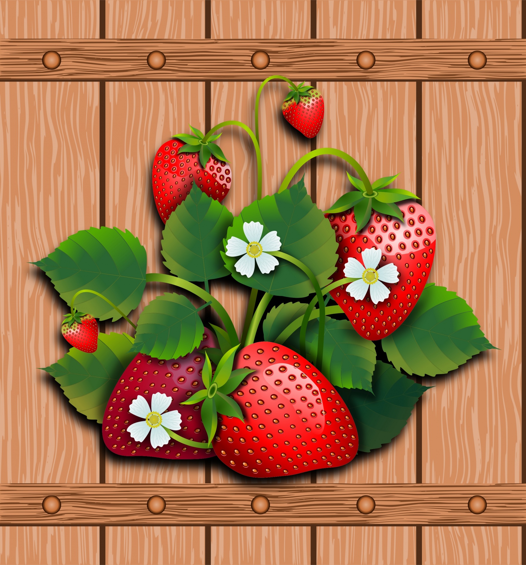在木板草莓