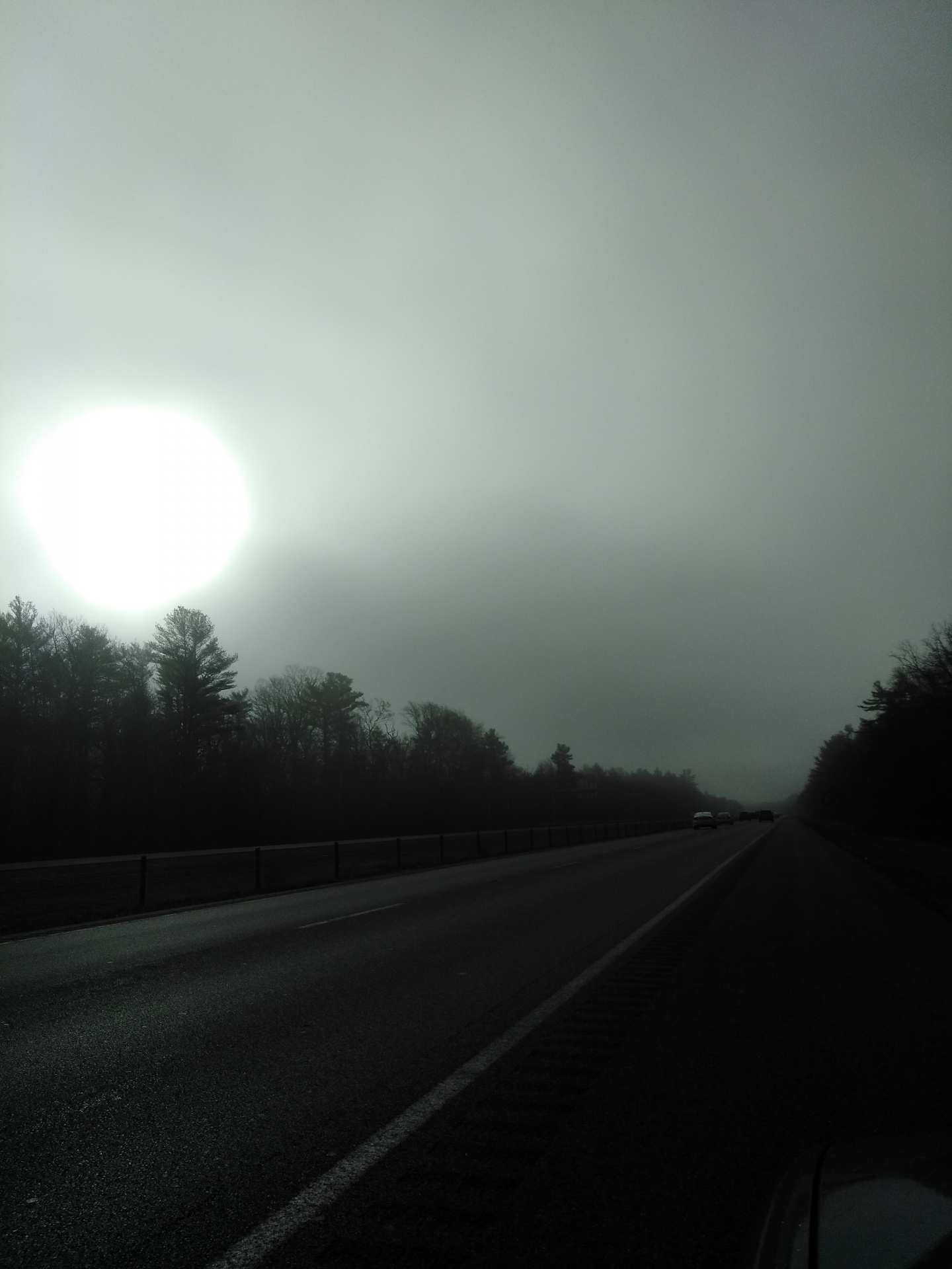 太阳在雾