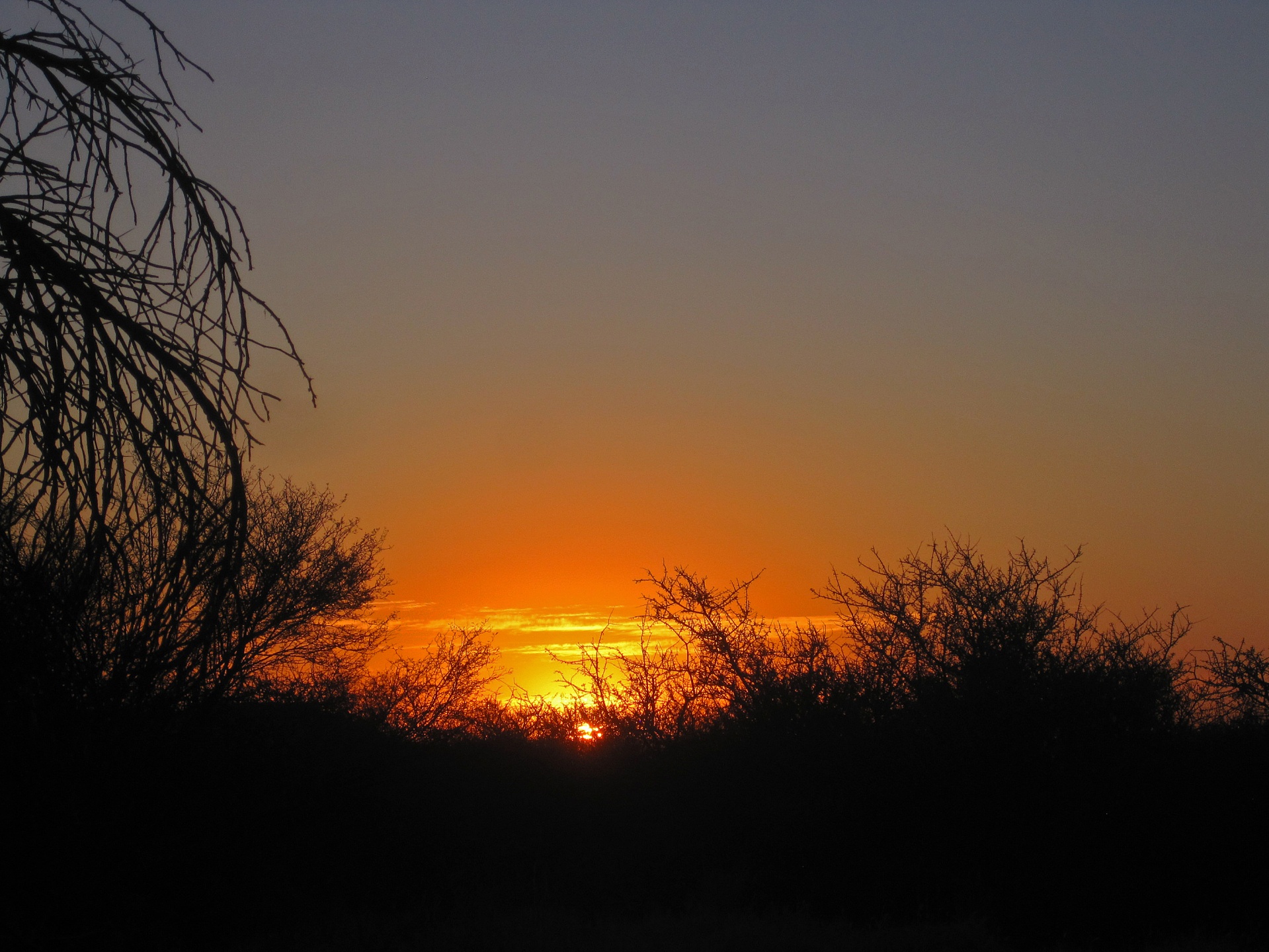 Sonnenuntergang im Busch