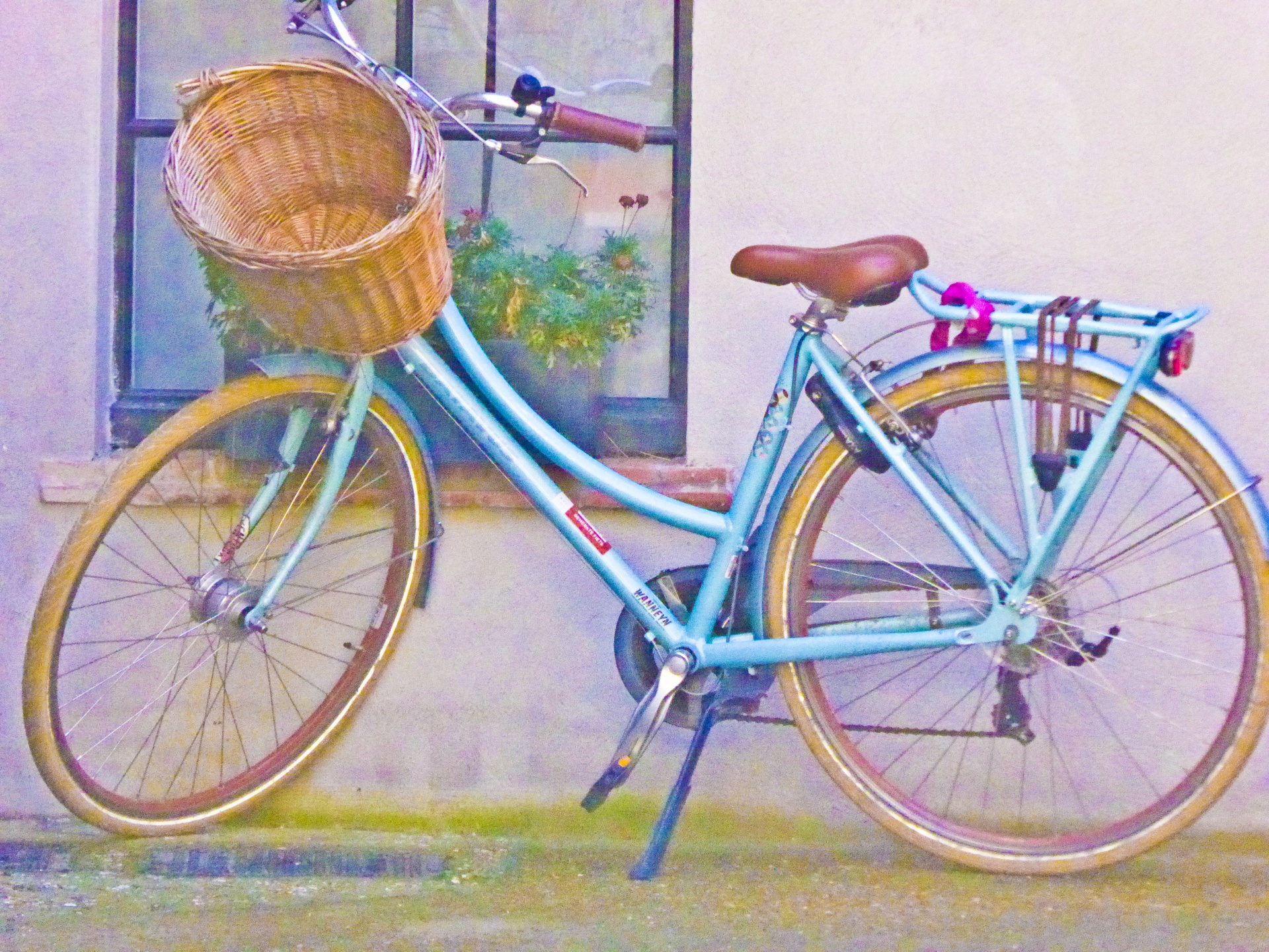 A bicicleta