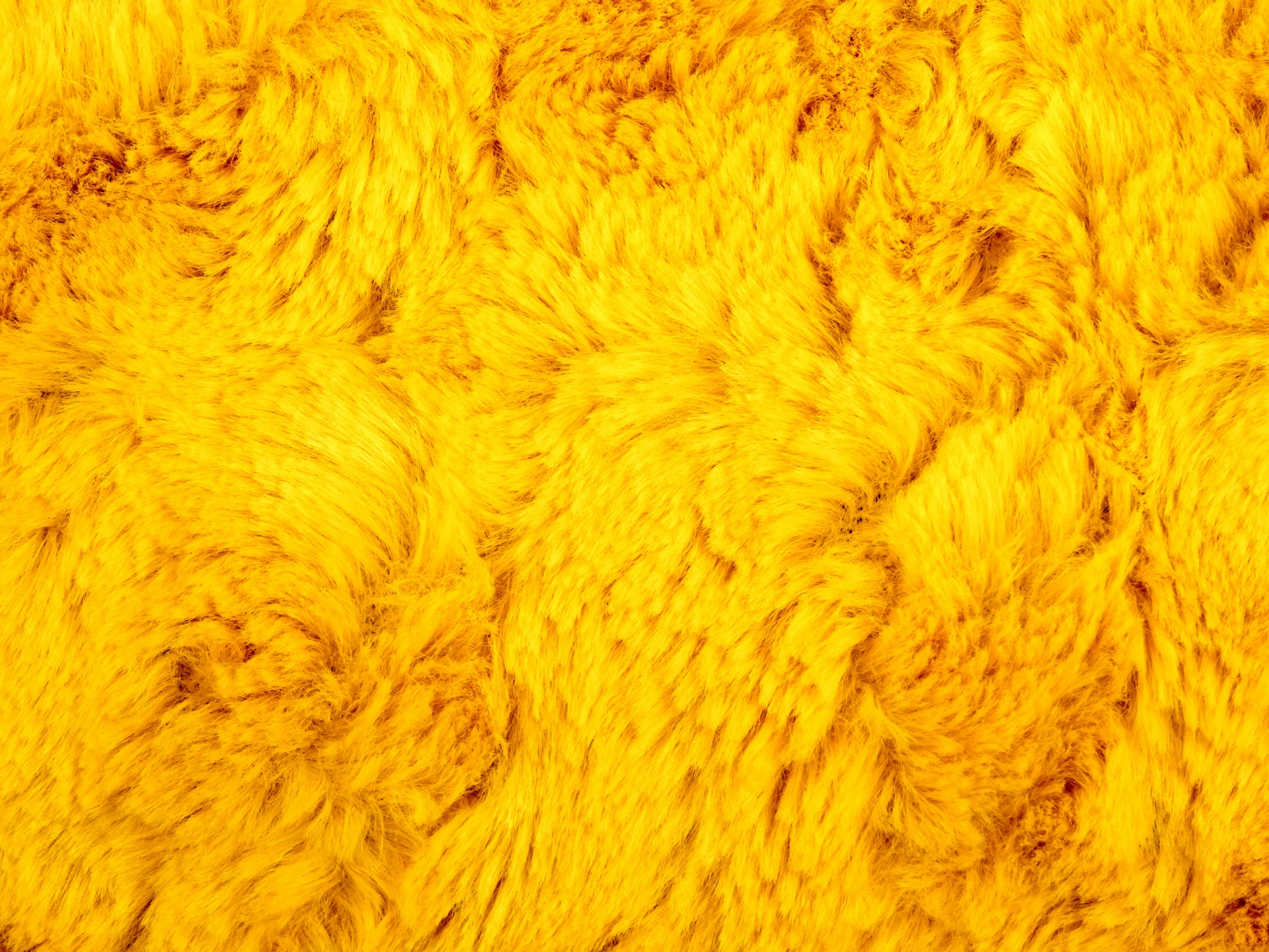 Żółty futra
