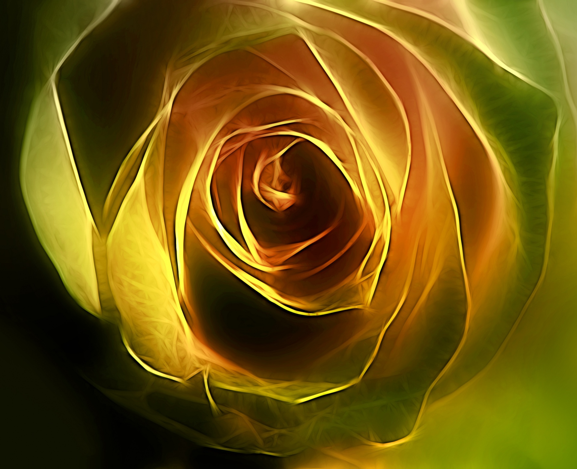 黄玫瑰2