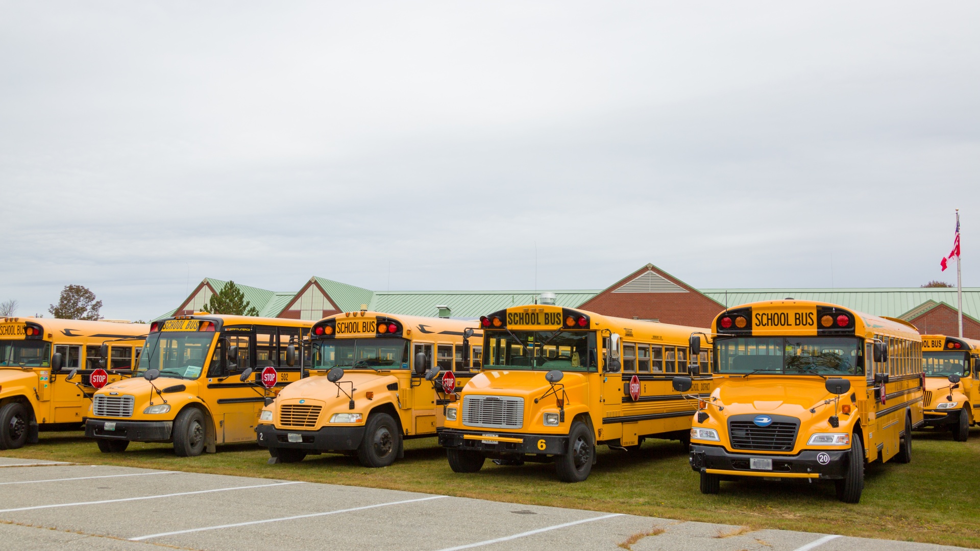 Желтые школьные автобусы