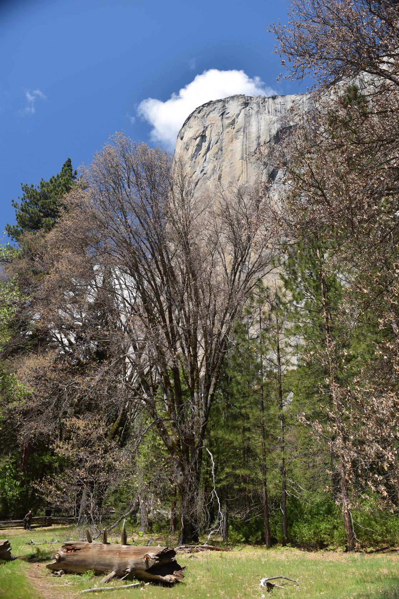 Yosemite Gránit Cliff