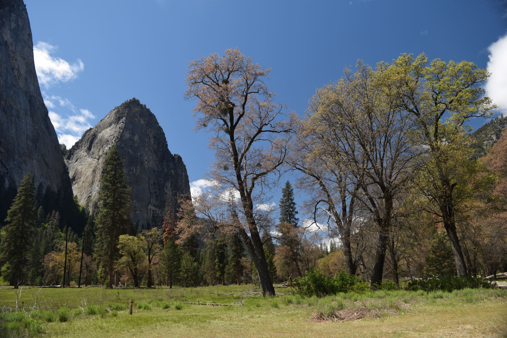 Yosemite Granite Mountains