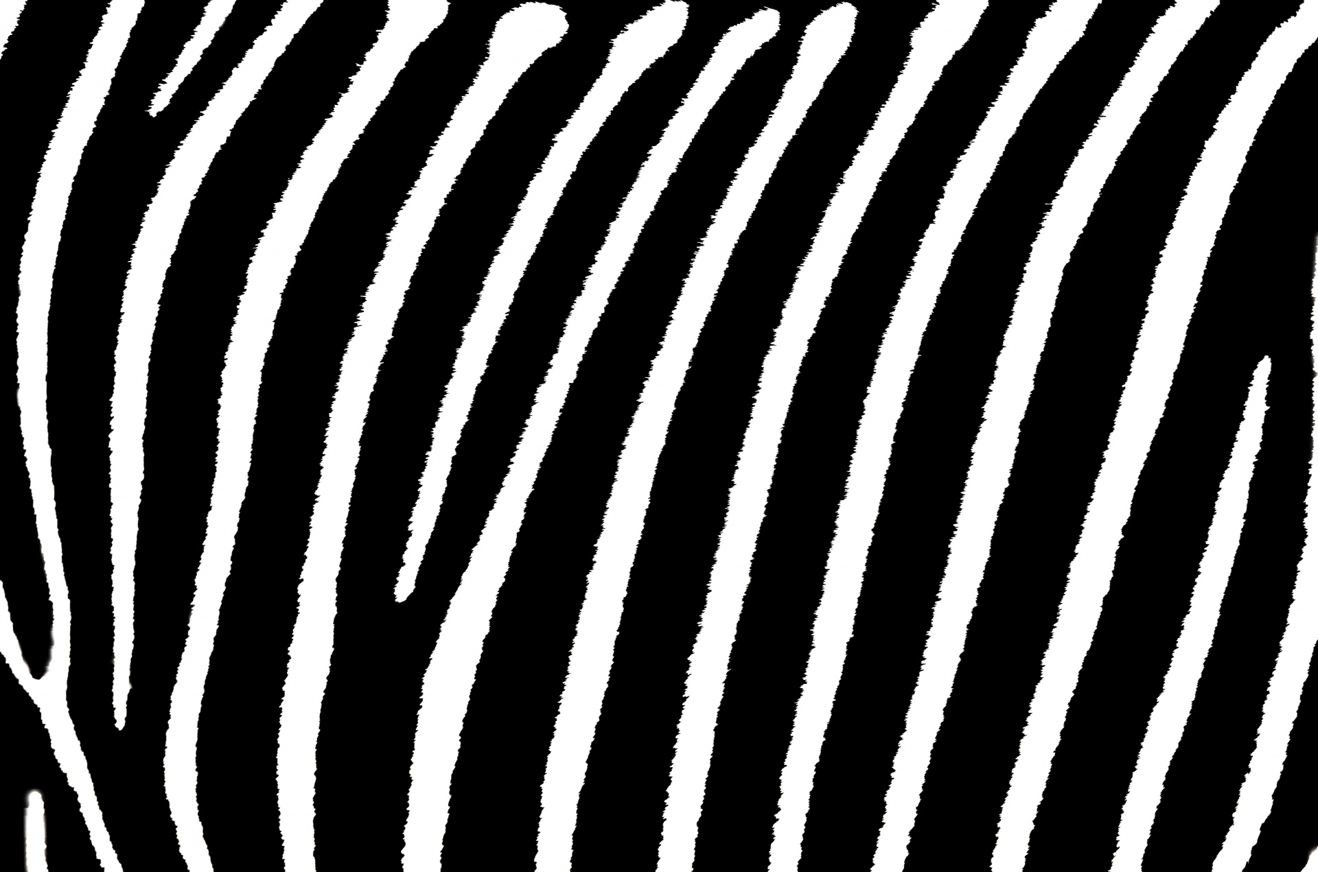 Listras da zebra do papel de parede
