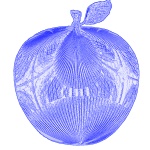 Blue Embossed Apple Illustration
