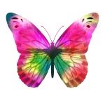 Mariposa rosada brillante