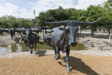 Escultura de la impulsión del ganado