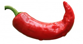 Chili Pepper Rojo
