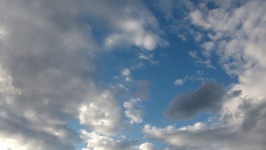 Wolken Met Vogel