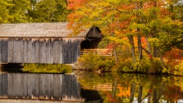 Täckt bro på hösten